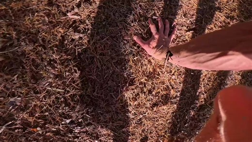 Ever wondered what Level 3 MovNat *feels like* from the inside? Here’s Baptiste’s point of view at our Level 3 Étréchy workshop, showing every jump, crawl, and climb through his eyes. 🔥 It’s raw, challenging, and unforgettable. 🙌 Big thanks to Baptiste for letting us all step into his shoes. You can live this too. A few workshops are still open this year. The question is… are you ready? #movnat #naturalmovement #movnatlevel3 #movnatcommunity #movementculture #functionalfitness #outdoortraining
