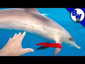Dolphin STEALS From Diver!