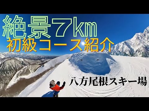 【白馬八方尾根スキー場】初心者でも楽しめるコースをご紹介【スカイライン】
