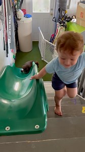 They're BBF's ❤️ | Dad Jokes