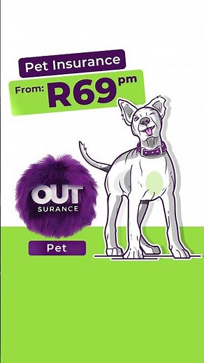 OUTsurance Pet