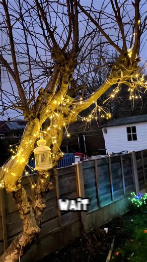 These solar fireworks lights instantly upgrade your garden with a warm sparkling glow, perfect for patios, parties and cosy evenings outdoors ✨ #GardenInspo #SolarLighting #OutdoorDecor #HomeUpgrade