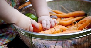 Diversification alimentaire : par quels aliments commencer ?