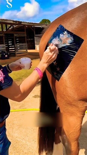 She Painted Stars on Her Horse to Make It Stand Out