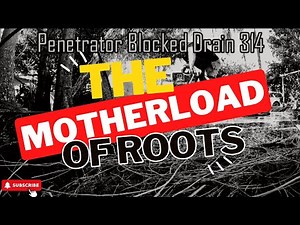 Blocked Drain 314 - The motherload of roots | Get This Bloke A Trophy Cabinet