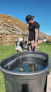 73K views · 10K reactions | Be True, Be Authentic, Be You  Why...