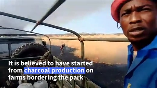 Fire has burnt a third of one of Africa's largest game reserves - Etosha National Park in Namibia -- home to 114 species of mammals, notably the critically endangered black rhinoceros, and a major tourist attraction. Hundreds of soldiers joined the fight to contain the spread of the fire. | AFP News Agency