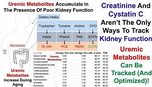 Uremic Metabolites: Kidney Function Biomarkers – Lifeboat News: The Blog