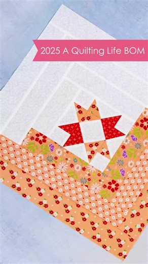 Kimberly Jolly & the FQS team on Instagram: "Join me as we complete the last block of the Quilting Life 2025 Mystery Block of the Month! This block combines flying geese and square-in-a-square units for a stunning result. I’ll share my tips for using Eleanor Burns' Fast Flying Geese method to speed up the process, and how I achieve perfect results with the 3" Square in a Square Foundation Paper by It's Sew Emma. Are you ready to see how this exciting mystery wraps up?⁠ ⁠ ✨️Fabric used is Laguna 