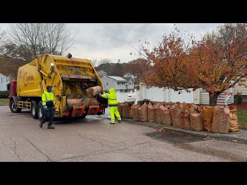 Capitol Waste Garbage Truck VS Wet Leaf Bag Piles