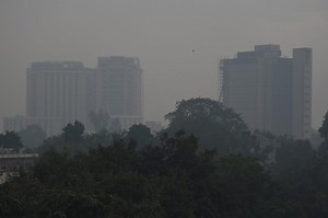 Ozone pollution linked to increased heart disease — study
