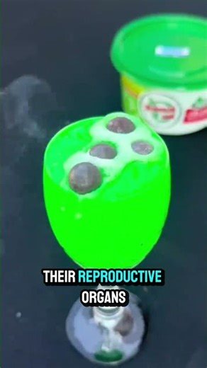 Secret human race?!? PART 2/3 #youtubeshort #youtubeshorts #viral #story