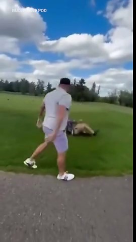 Golfer thrown into lake by hockey star for taking too long playing in front of them