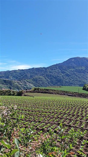 2026，5，25，南投-仁愛，真烈巴山三角點風景