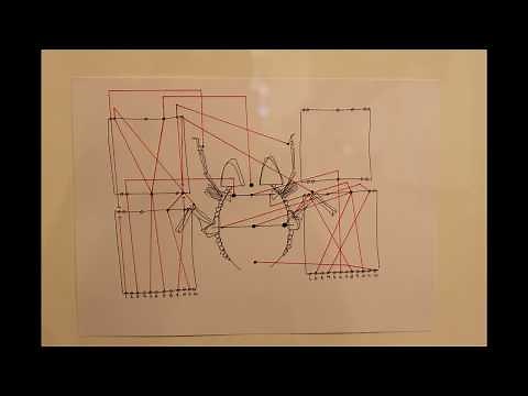 Paul Lansky - Mild und Leise (1973)