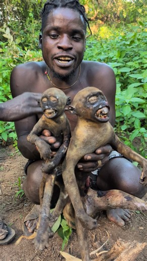 Traditional cooking skills 💪🔥 monkey meat ready to enjoy #africa #trythatinasmalltown #culture