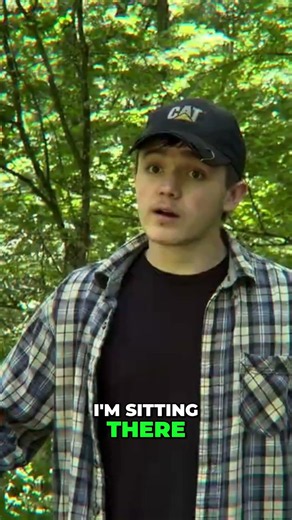 What is it #trending #viral #bigfoot #cryptids #shorts
