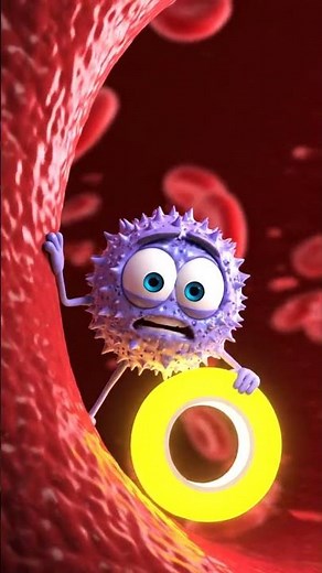 Heart & Blood: Circulatory System: Components and Functions #animation #motivation#health #funny