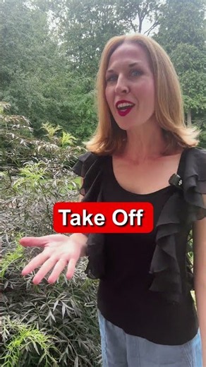 Do You Know These Phrasal Verbs With TAKE? #learnenglish