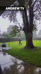 Lightning destroys a tree | Andrew Lincoln TV