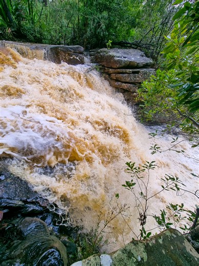 Discover the Beauty of Kellys Falls Waterfall