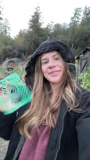 Raspberry Harvest: Grow Your Own Food with Joyful Garden Harvesting