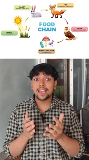 Food chain secret 😲