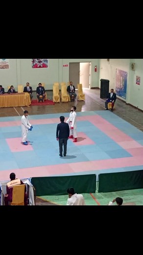 Karate Star: The Journey of a Martial Arts Champion