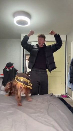 Dog Dance Fun with Cocker Spaniel