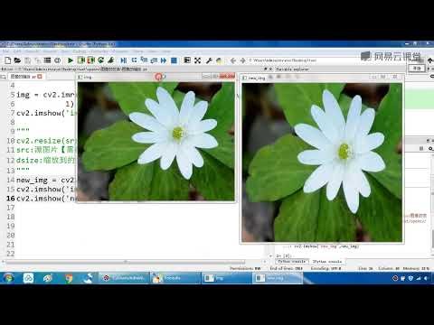 "Learning Python: Practical Application of Essential Python Libraries" 19.4 Image Scaling Part 1