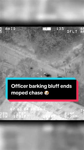 Police Dog Intercepts Moped Chase in UK