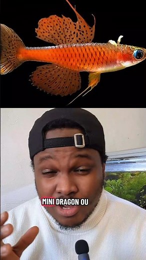 illuminated pseudo-mug