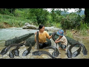 Single mother and baby earn a living by fishing - catching lots of big fish during flood season