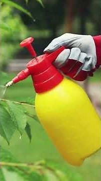 This Homemade Weed Killer Actually Works! No Chemicals!