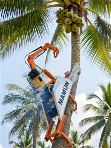 Coconut Harvester Robot: Revolutionizing Agriculture