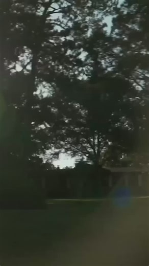 Big News for Austin County! 🌳 We’re thrilled to announce that Texas Tree Transformations is officially expanding to Austin County! My name’s Kyle Cox, owner of Texas Tree Transformations — born and raised right here in Bellville, where my family has lived since the late 1800s. It doesn’t get more local than that. We specialize in: ✅ Large tree removals ✅ Professional, proper pruning ✅ Certified arborist care As an ISA Certified Arborist with additional credentials through the International Soci