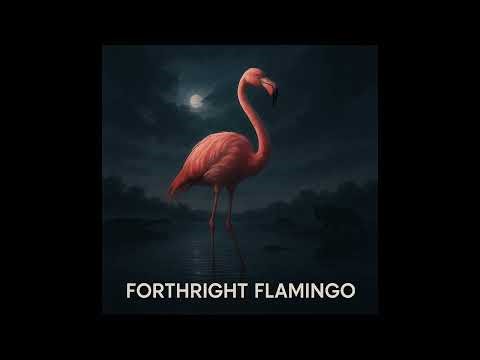 VeeFriends Song: Forthright Flamingo - An Ode to Honesty & Growth (GaryVee Inspired)