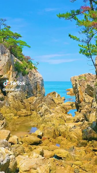 #틱톡여행 #국내여행 #핫플추천 #삼척 #부남해변 #동해바다