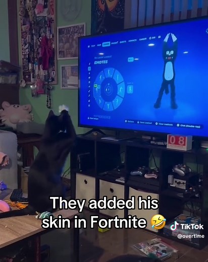 Fortnite Update: New Cat Skin Released!
