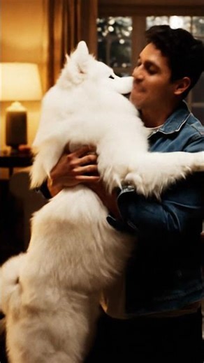 Dog’s Epic Reunion Tears Melt Hearts