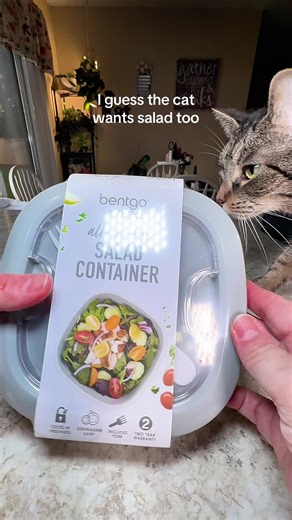 Packing salads ahead of time doesn’t have to mean soggy lettuce or leaked dressing 🥗 This all-in-one salad container keeps everything fresh, separated, and easy to take anywhere — work, travel, or busy days when you still want a healthy lunch. If meal prep is part of your routine, this just makes it easier. #bentgo #LunchIdeas #HealthyLunch #MealPrepMadeEasy #SaladLover