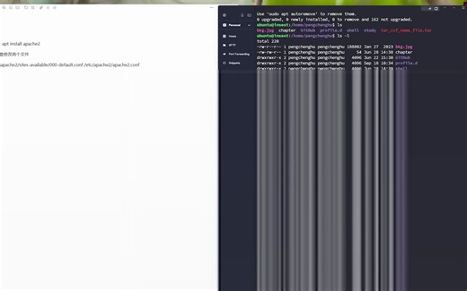 【才艺表演】使用apache2访问本地目录及本地文件