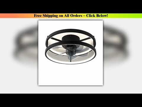 Modern simple ceiling fan light LED remote control dimmable silent ceiling fan with light home