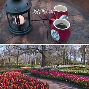 All-Inclusive Rivers, Every Season | Scenic