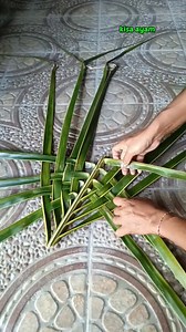 45K views · 353 reactions | Cara membuat Kisa/kiso ayam dari daun kelapa . #tutorial #anyamandaunkelapa #coconutleafcraft #idekreatif #kisa #kisoayam #kerajinantangan #kreasijanur #diy #weaving #fblifestyle #daunkelapa Dewa Ayu Triana Dewi Pengikut #bag | Dwija PanJavas | Facebook