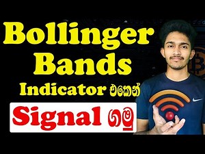 Bollinger Bands Strategy Sinhala | High accuracy signal with BB | Technical Analysis Indicators