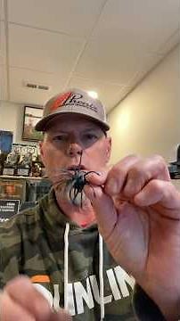 New Urchin Style Weight Rigging System #bassfishing #livescope #basstournament