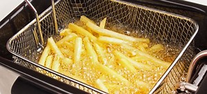 Troubleshooting an Electric Deep Fryer | DoItYourself.com