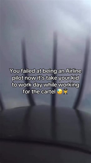 Student Pilot Tries a Flip, Fails Hilariously