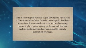 Types of Organic Fertilizers